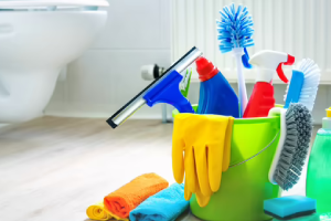 Messie Reinigung Neustadt An Der Weinstraße